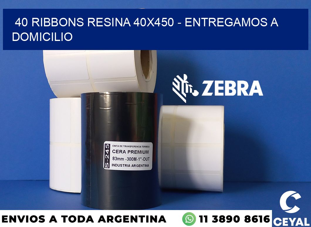 40 Ribbons resina 40x450 - entregamos a domicilio