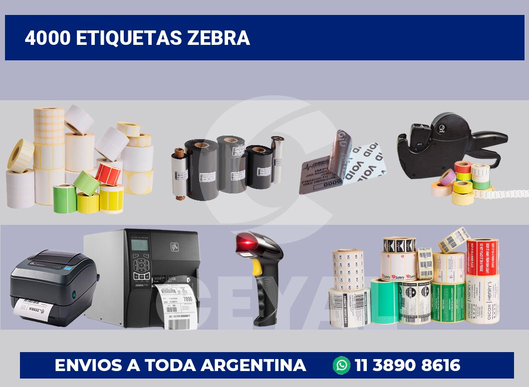 4000 Etiquetas zebra