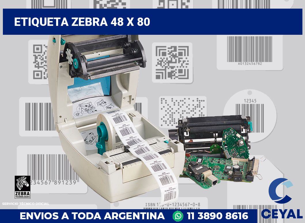 etiqueta zebra 48 x 80