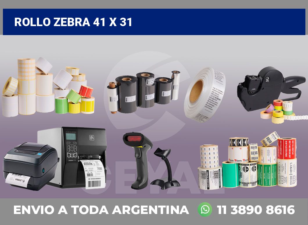 rollo zebra 41 x 31