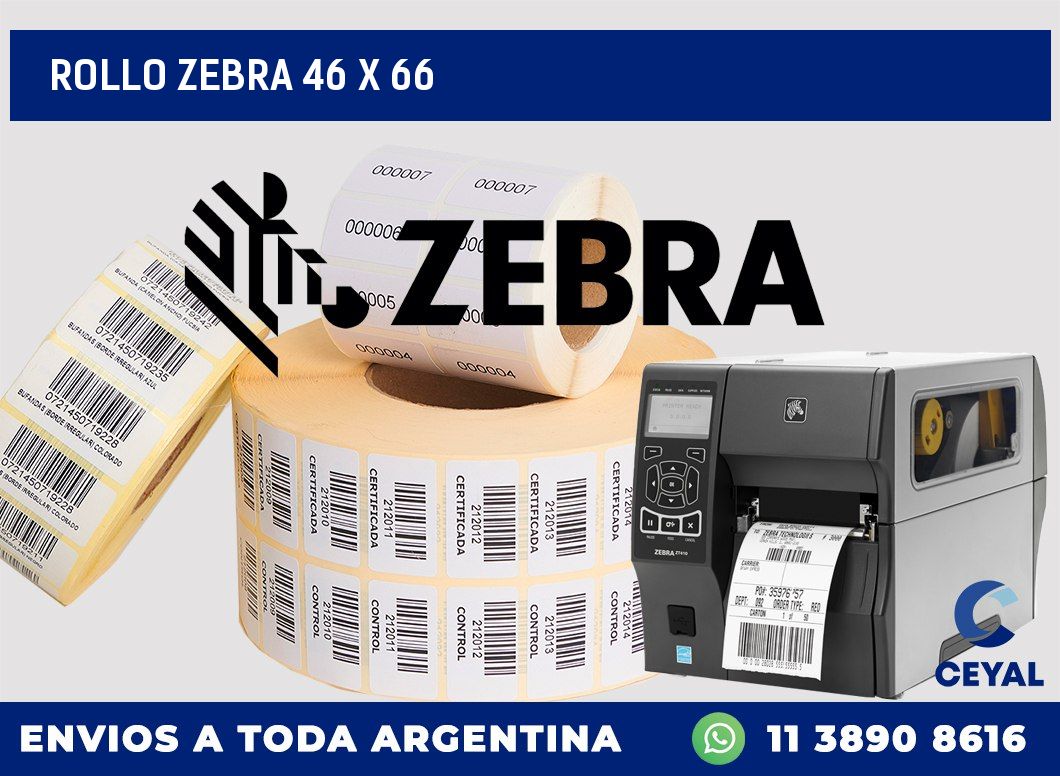 rollo zebra 46 x 66