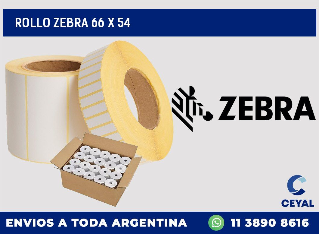 rollo zebra 66 x 54