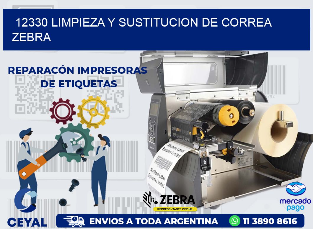 12330 LIMPIEZA Y SUSTITUCION DE CORREA ZEBRA