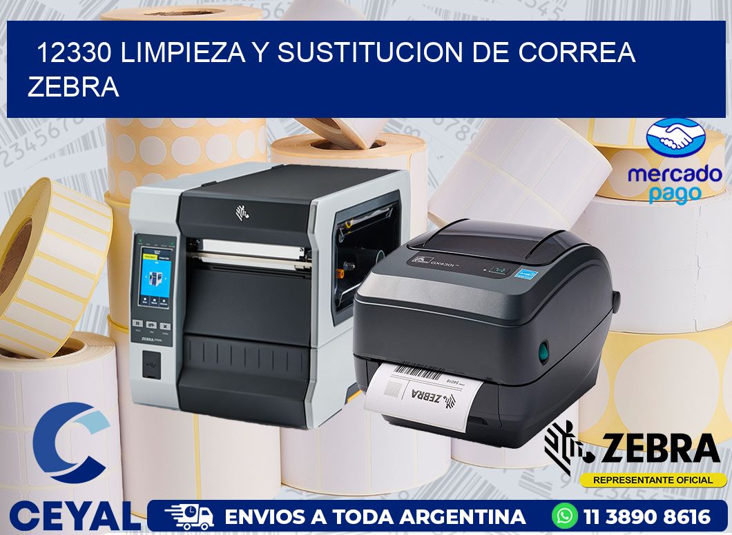 12330 LIMPIEZA Y SUSTITUCION DE CORREA ZEBRA