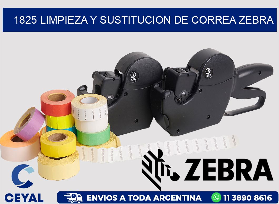 1825 LIMPIEZA Y SUSTITUCION DE CORREA ZEBRA