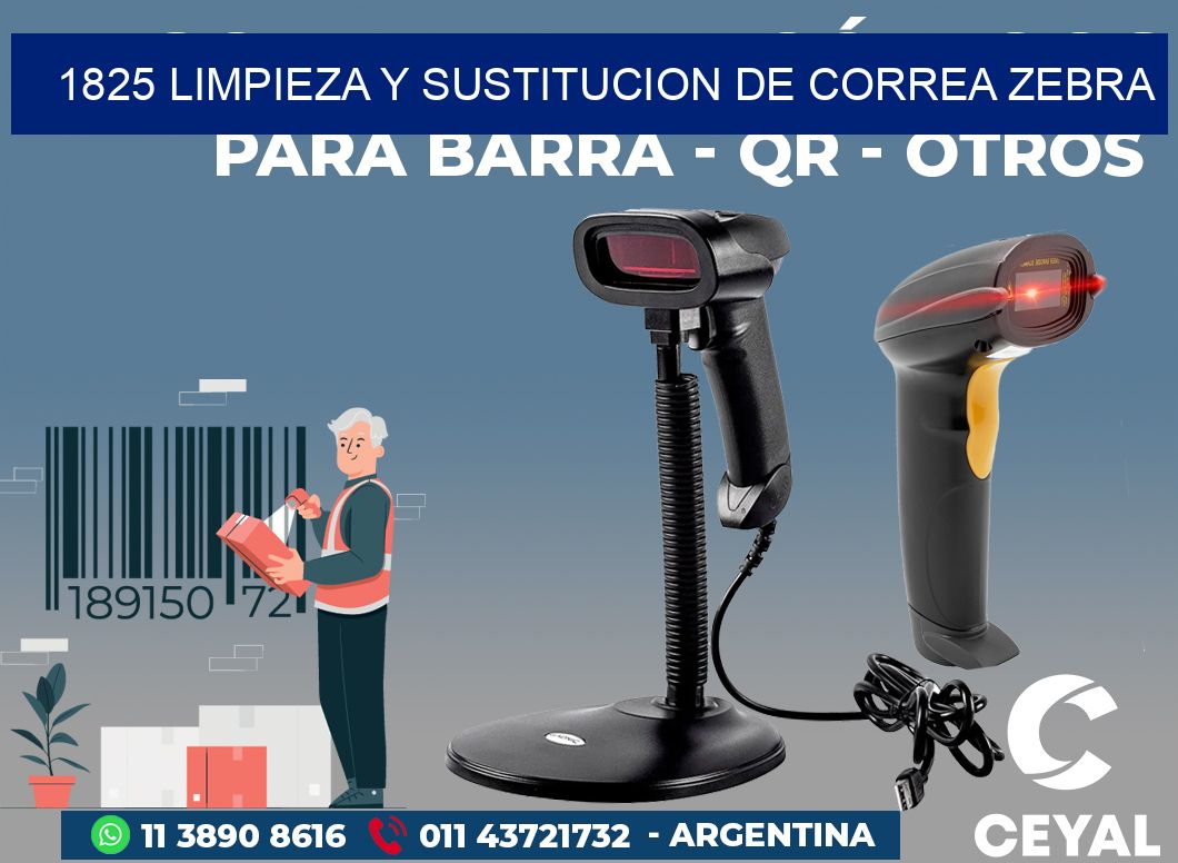 1825 LIMPIEZA Y SUSTITUCION DE CORREA ZEBRA