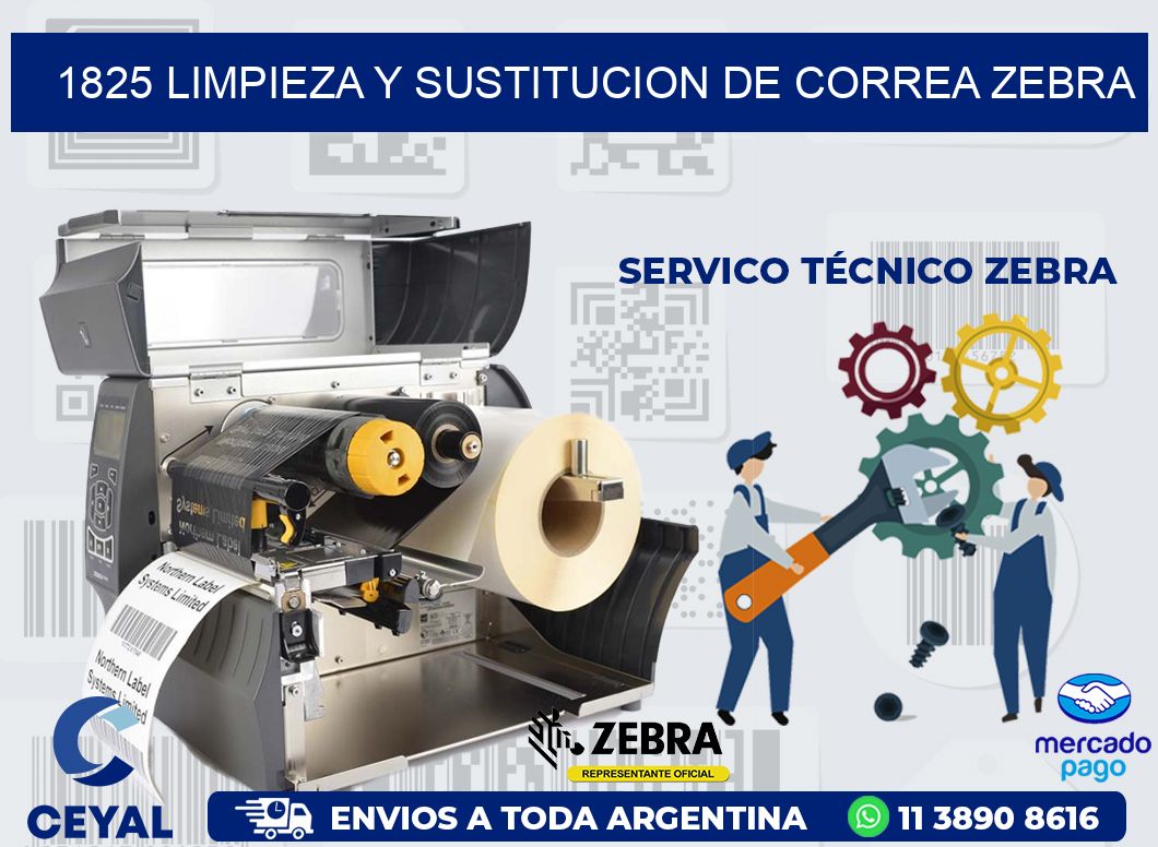 1825 LIMPIEZA Y SUSTITUCION DE CORREA ZEBRA