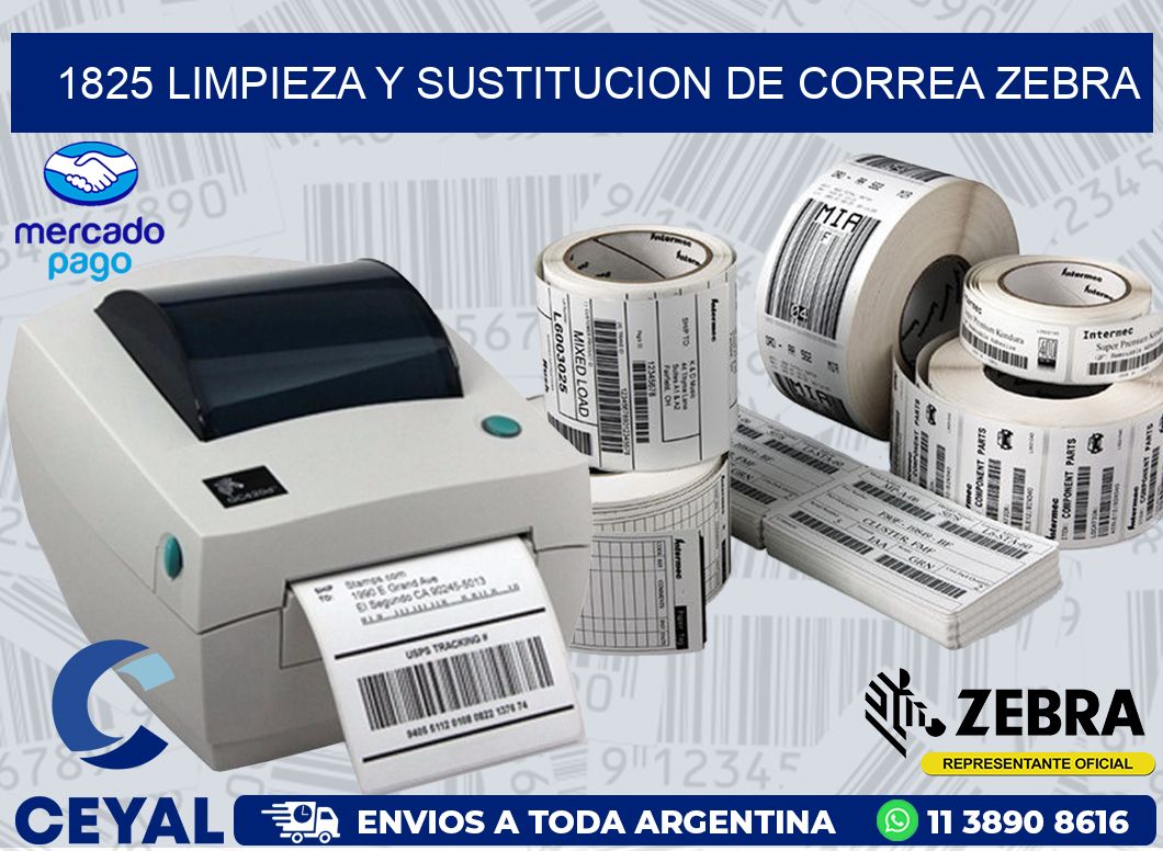 1825 LIMPIEZA Y SUSTITUCION DE CORREA ZEBRA