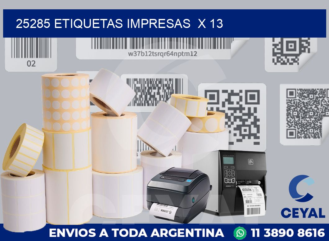 25285 Etiquetas impresas  x 13