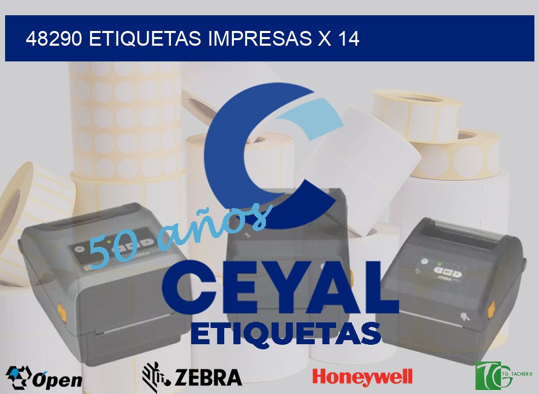 48290 Etiquetas impresas x 14