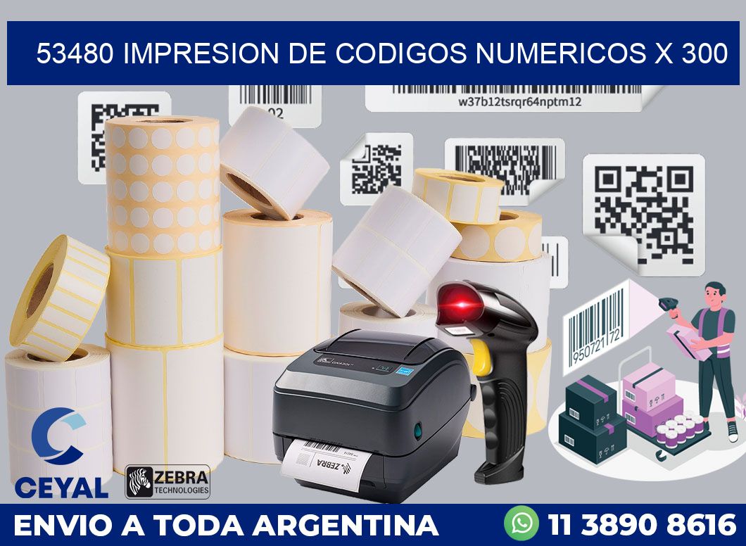 53480 impresion de codigos numericos x 300