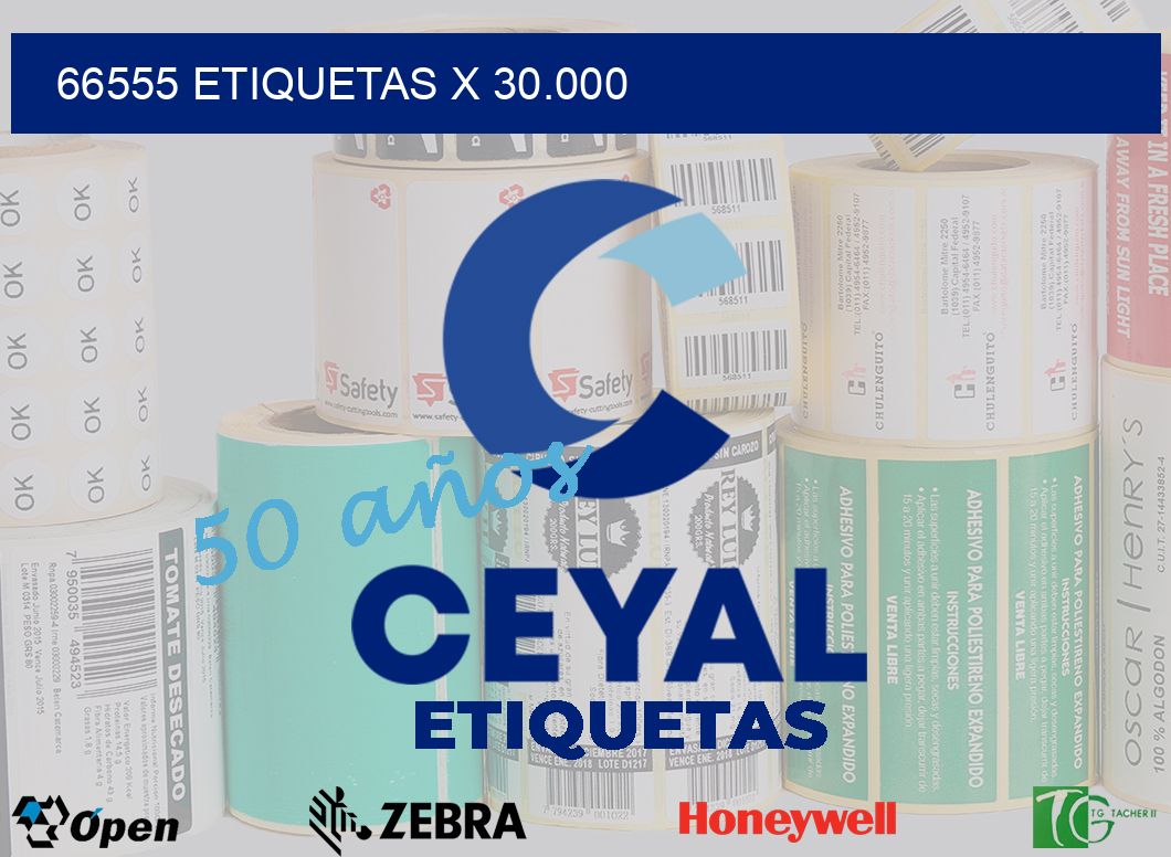 66555 Etiquetas x 30.000