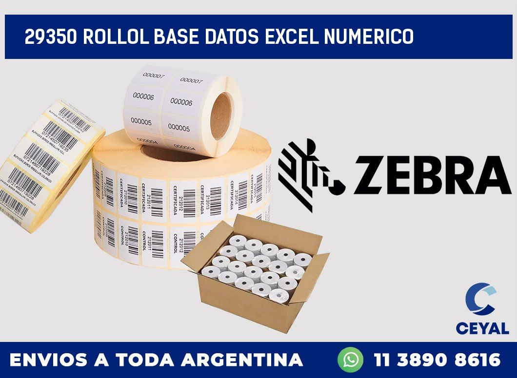 29350 rollol base datos excel numerico