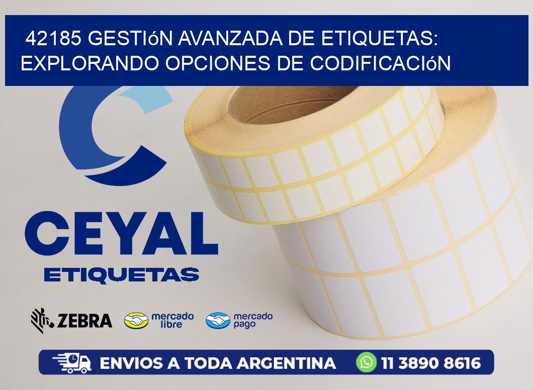 42185 Gestión Avanzada de Etiquetas: Explorando Opciones de Codificación