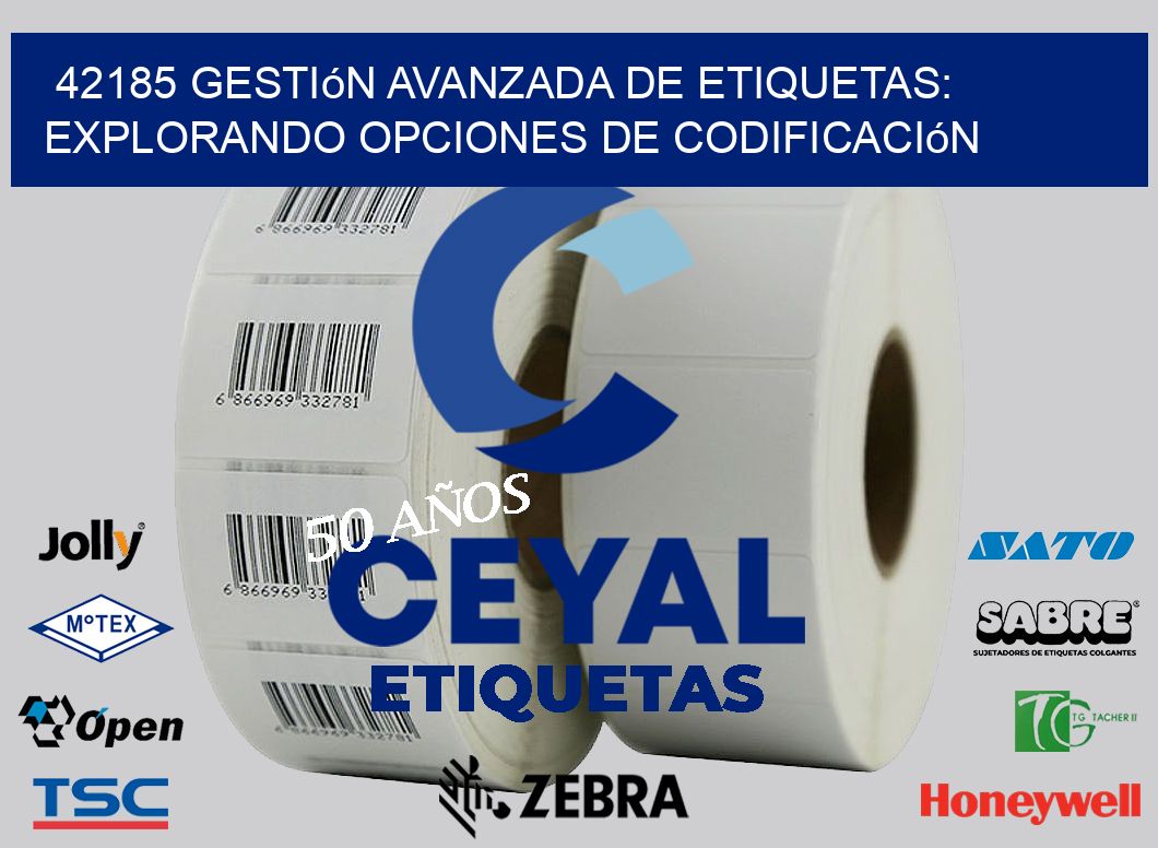 42185 Gestión Avanzada de Etiquetas: Explorando Opciones de Codificación