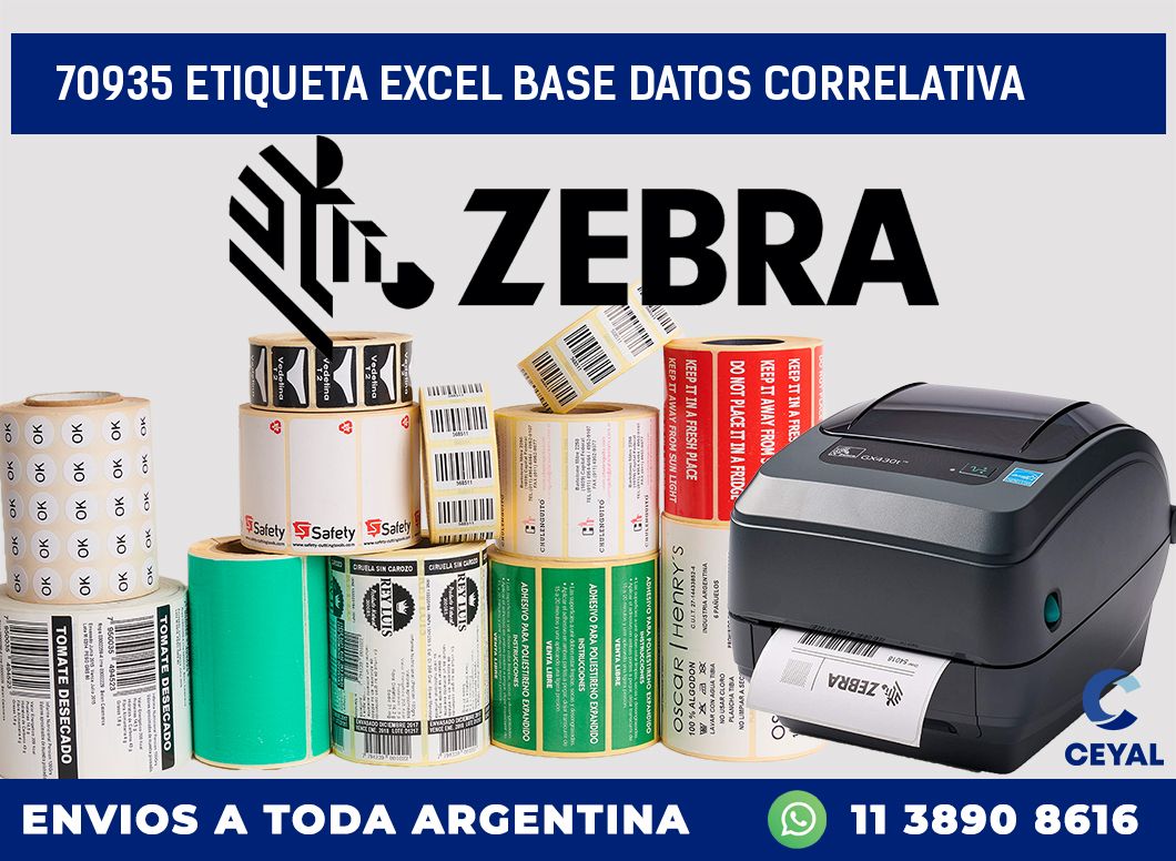70935 etiqueta excel base datos correlativa