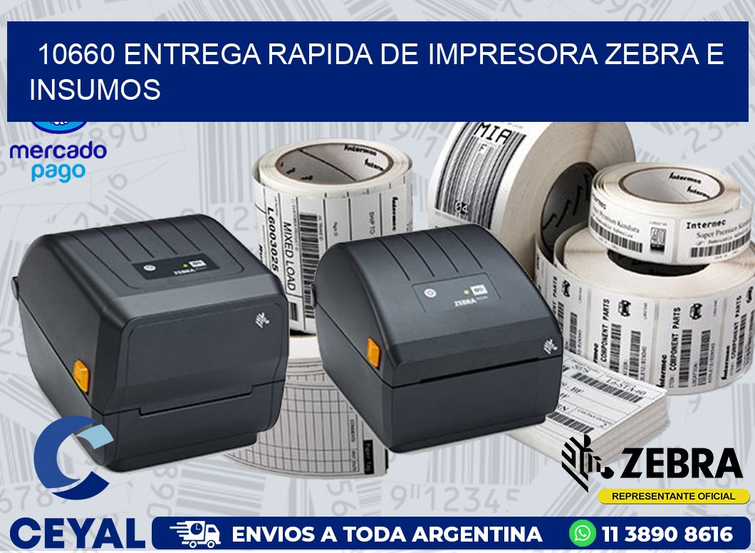 10660 ENTREGA RAPIDA DE IMPRESORA ZEBRA E INSUMOS