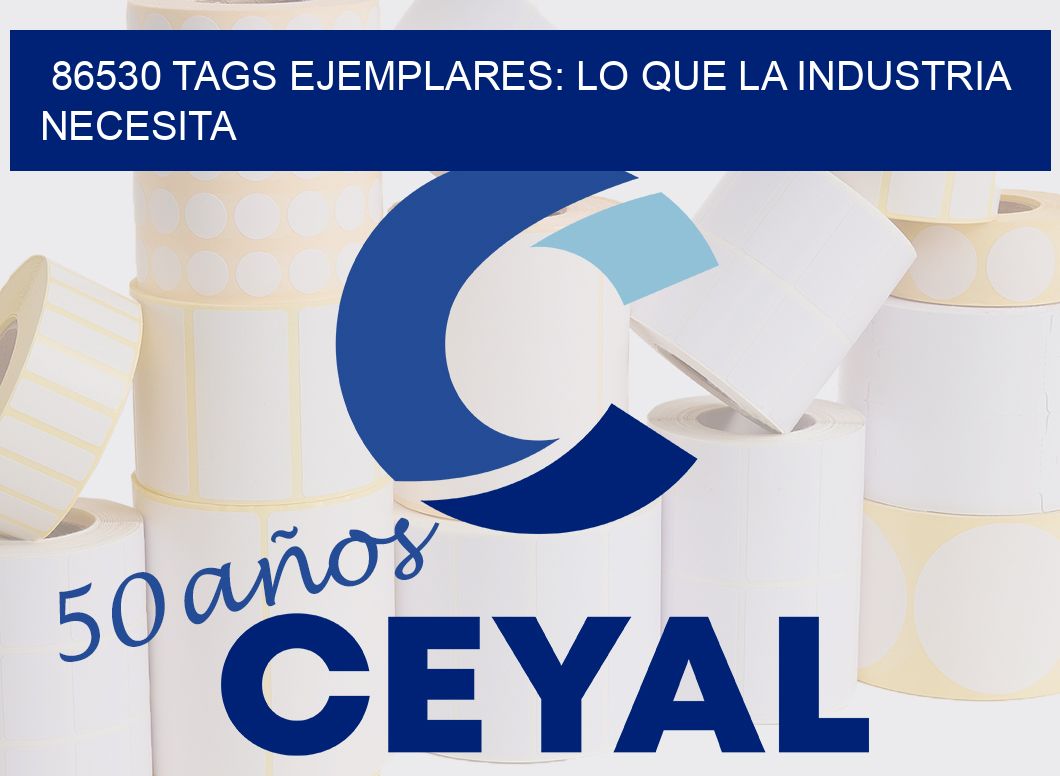 86530 TAGS EJEMPLARES: LO QUE LA INDUSTRIA NECESITA