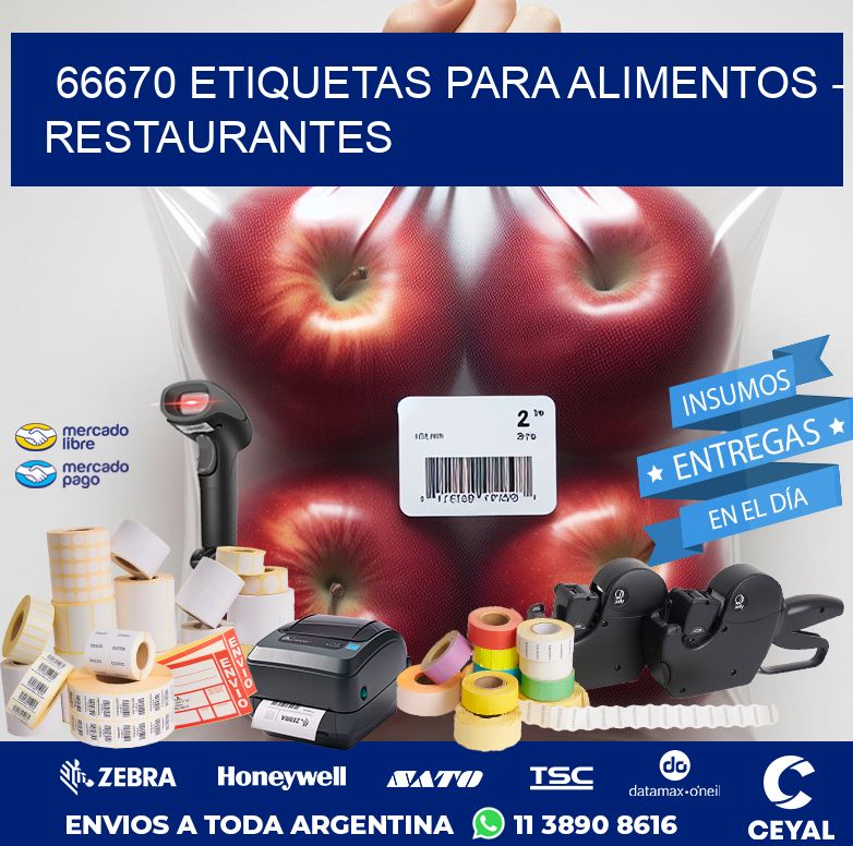 66670 ETIQUETAS PARA ALIMENTOS - RESTAURANTES