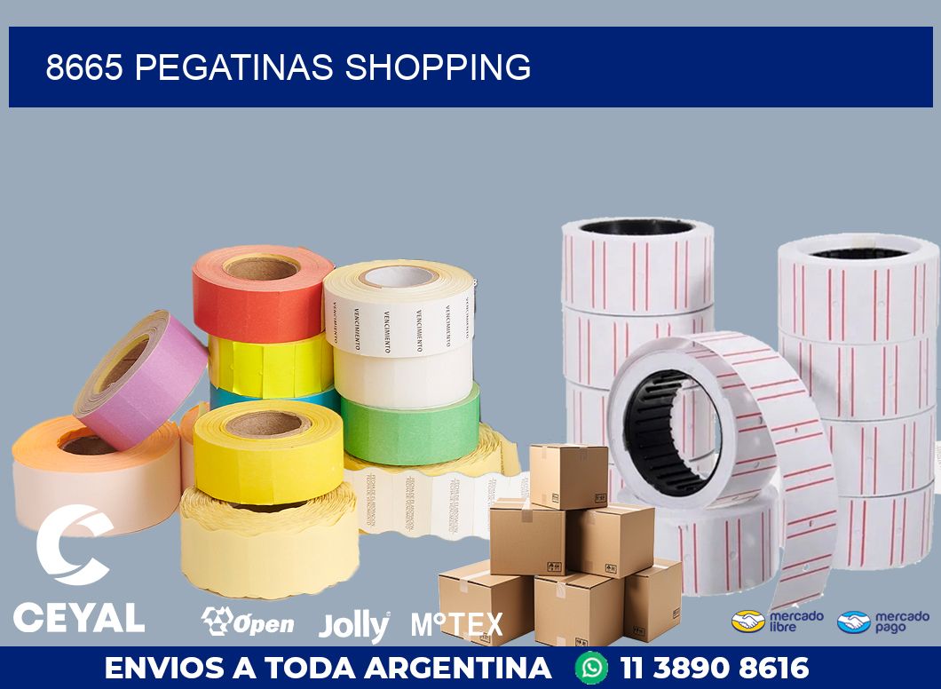 8665 PEGATINAS SHOPPING