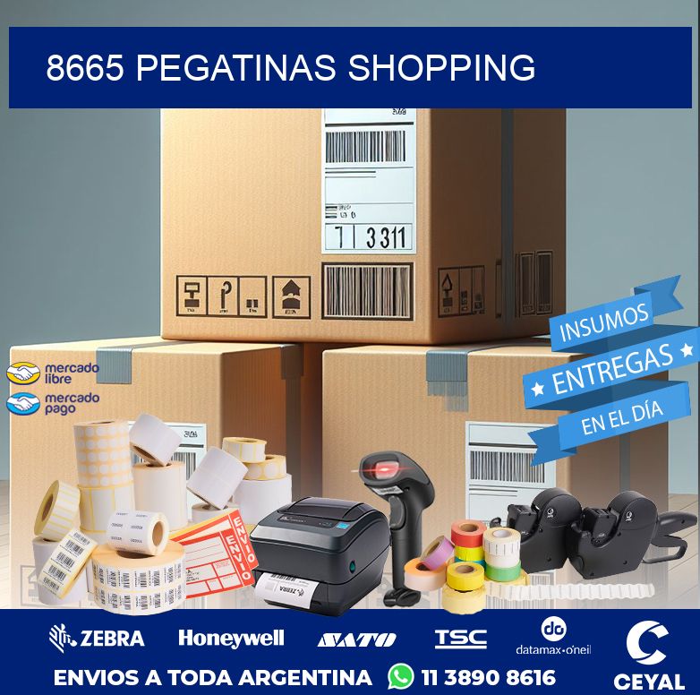 8665 PEGATINAS SHOPPING