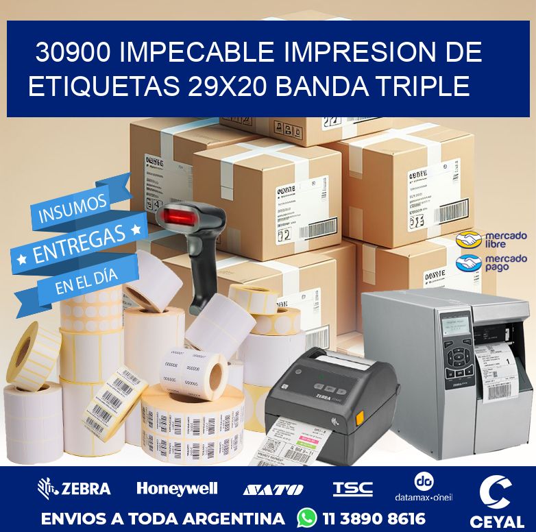30900 IMPECABLE IMPRESION DE ETIQUETAS 29X20 BANDA TRIPLE