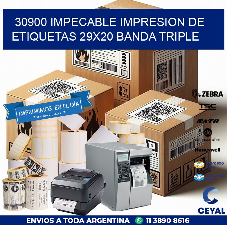 30900 IMPECABLE IMPRESION DE ETIQUETAS 29X20 BANDA TRIPLE