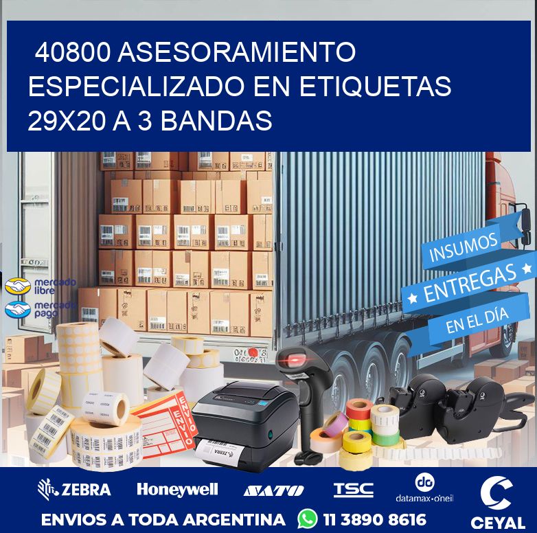 40800 ASESORAMIENTO ESPECIALIZADO EN ETIQUETAS 29X20 A 3 BANDAS