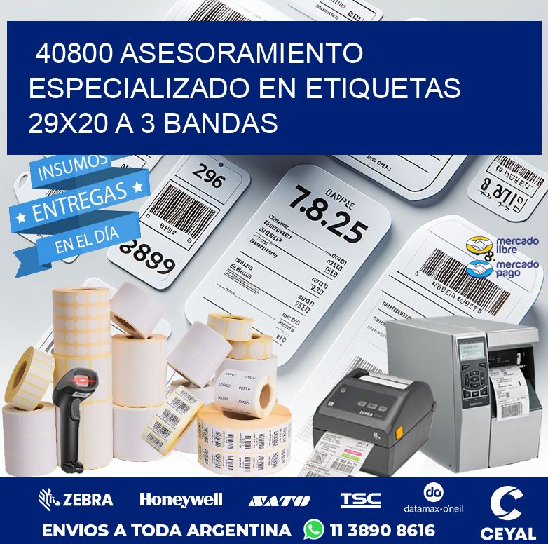 40800 ASESORAMIENTO ESPECIALIZADO EN ETIQUETAS 29X20 A 3 BANDAS