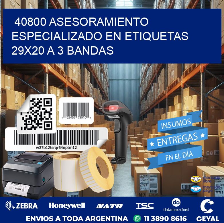 40800 ASESORAMIENTO ESPECIALIZADO EN ETIQUETAS 29X20 A 3 BANDAS