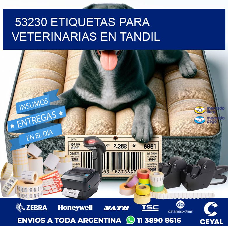 53230 ETIQUETAS PARA VETERINARIAS EN TANDIL