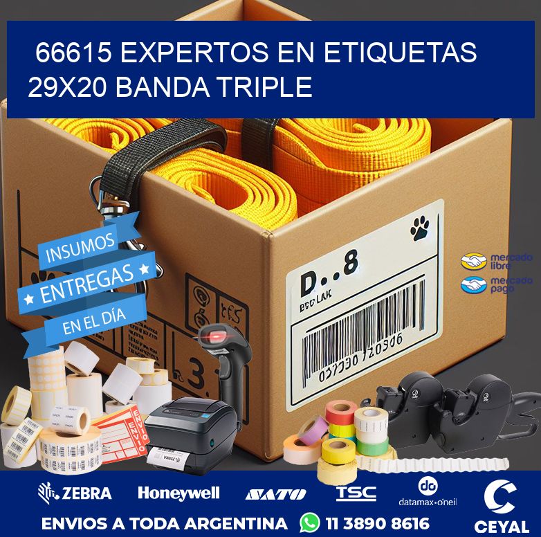 66615 EXPERTOS EN ETIQUETAS 29X20 BANDA TRIPLE