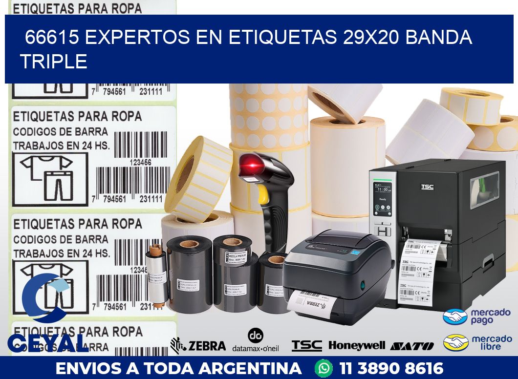 66615 EXPERTOS EN ETIQUETAS 29X20 BANDA TRIPLE
