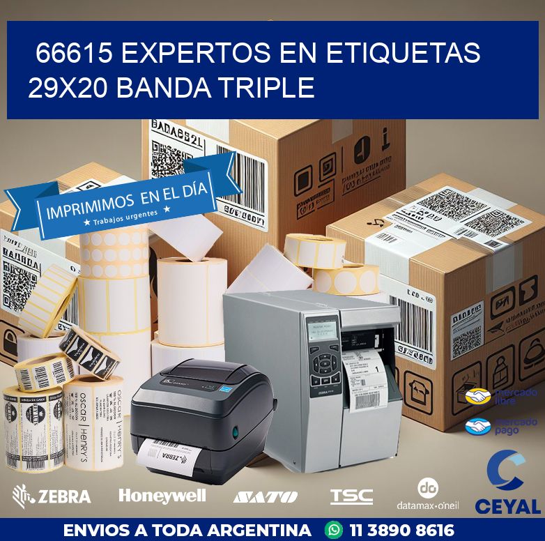 66615 EXPERTOS EN ETIQUETAS 29X20 BANDA TRIPLE