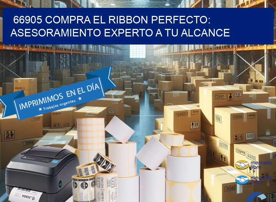 66905 COMPRA EL RIBBON PERFECTO: ASESORAMIENTO EXPERTO A TU ALCANCE