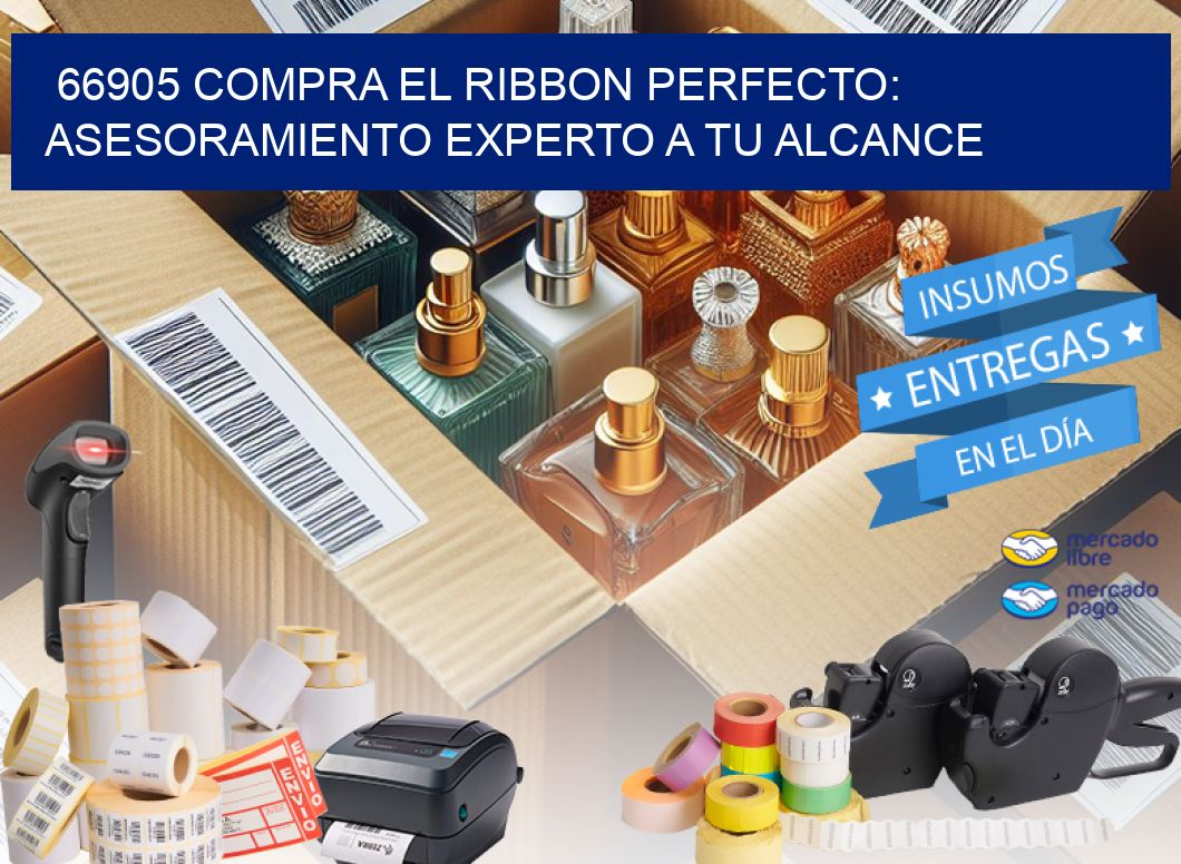 66905 COMPRA EL RIBBON PERFECTO: ASESORAMIENTO EXPERTO A TU ALCANCE