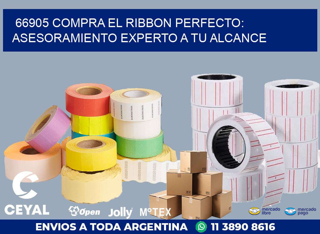 66905 COMPRA EL RIBBON PERFECTO: ASESORAMIENTO EXPERTO A TU ALCANCE