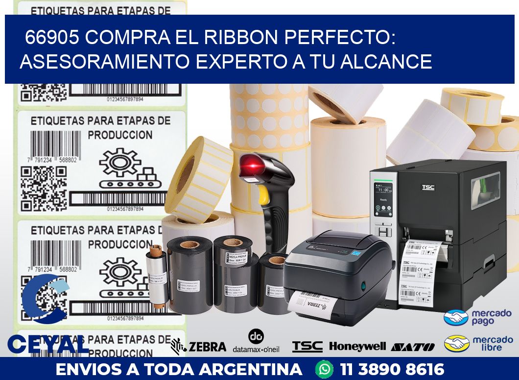 66905 COMPRA EL RIBBON PERFECTO: ASESORAMIENTO EXPERTO A TU ALCANCE