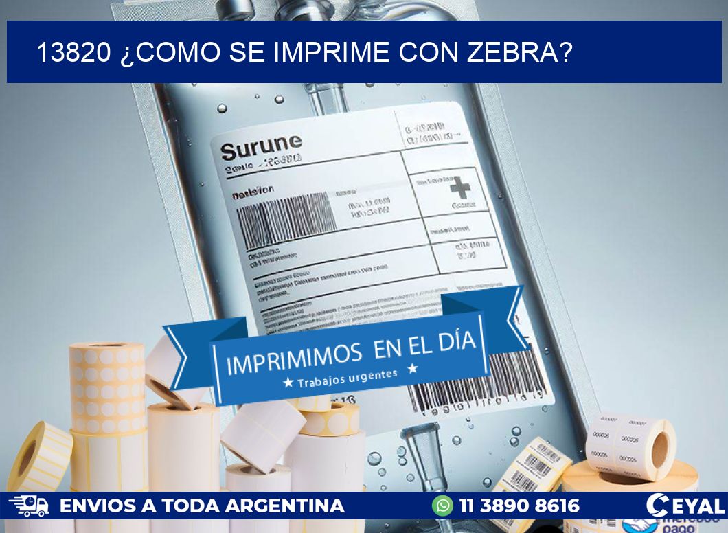 13820 ¿COMO SE IMPRIME CON ZEBRA?