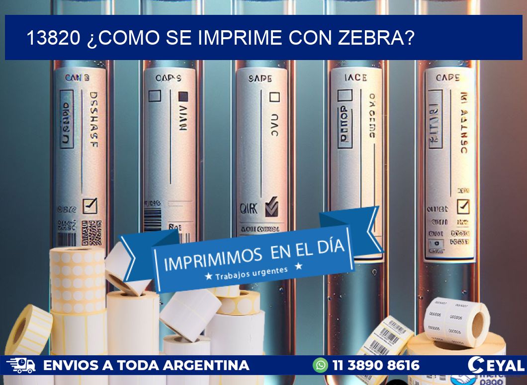 13820 ¿COMO SE IMPRIME CON ZEBRA?