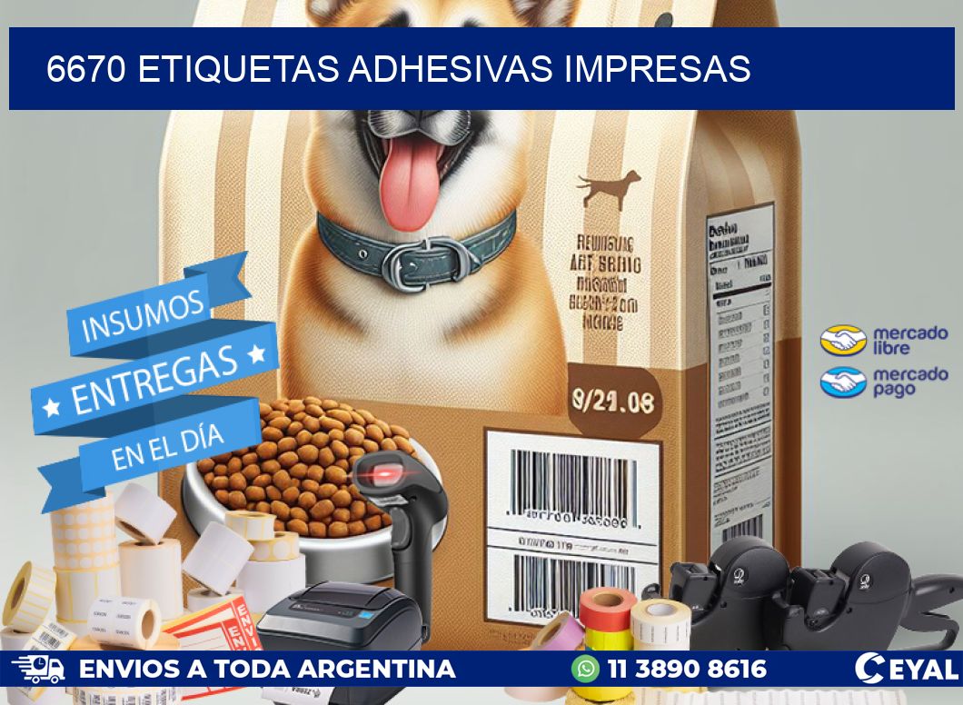6670 ETIQUETAS ADHESIVAS IMPRESAS