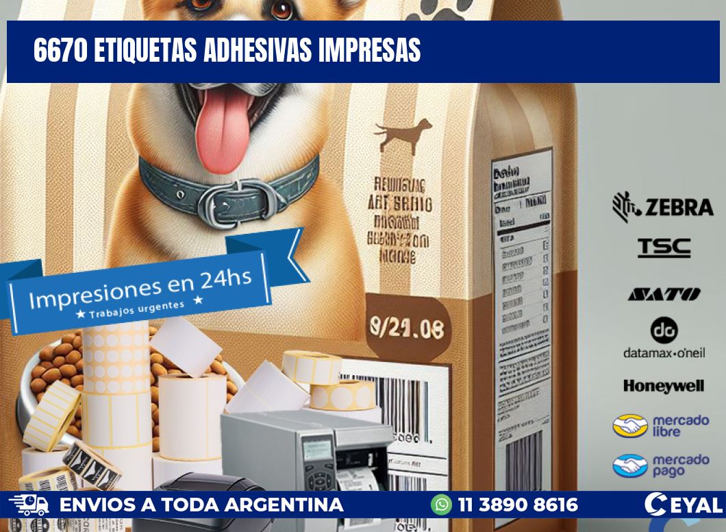 6670 ETIQUETAS ADHESIVAS IMPRESAS