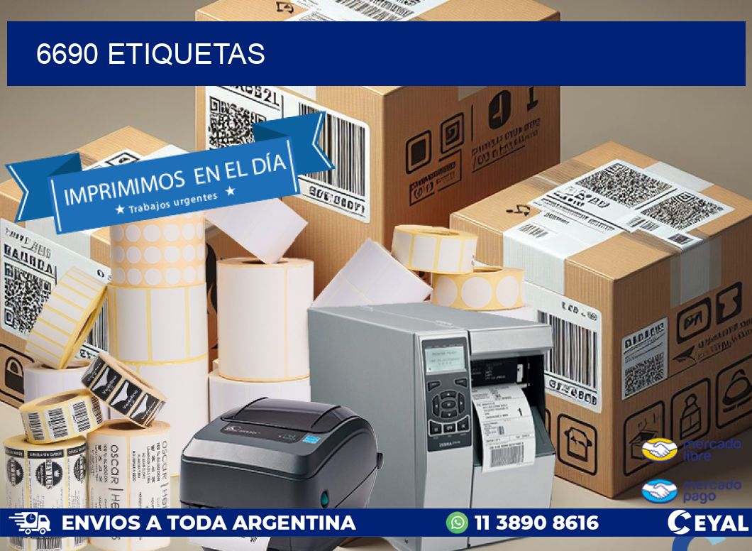 6690 ETIQUETAS