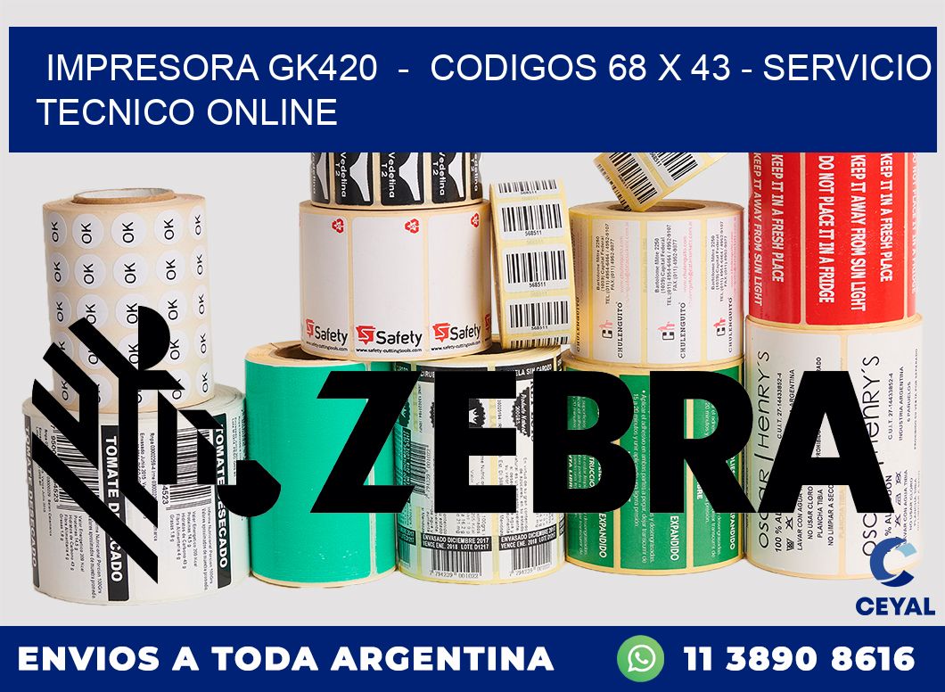 IMPRESORA GK420  -  CODIGOS 68 x 43 - SERVICIO TECNICO ONLINE