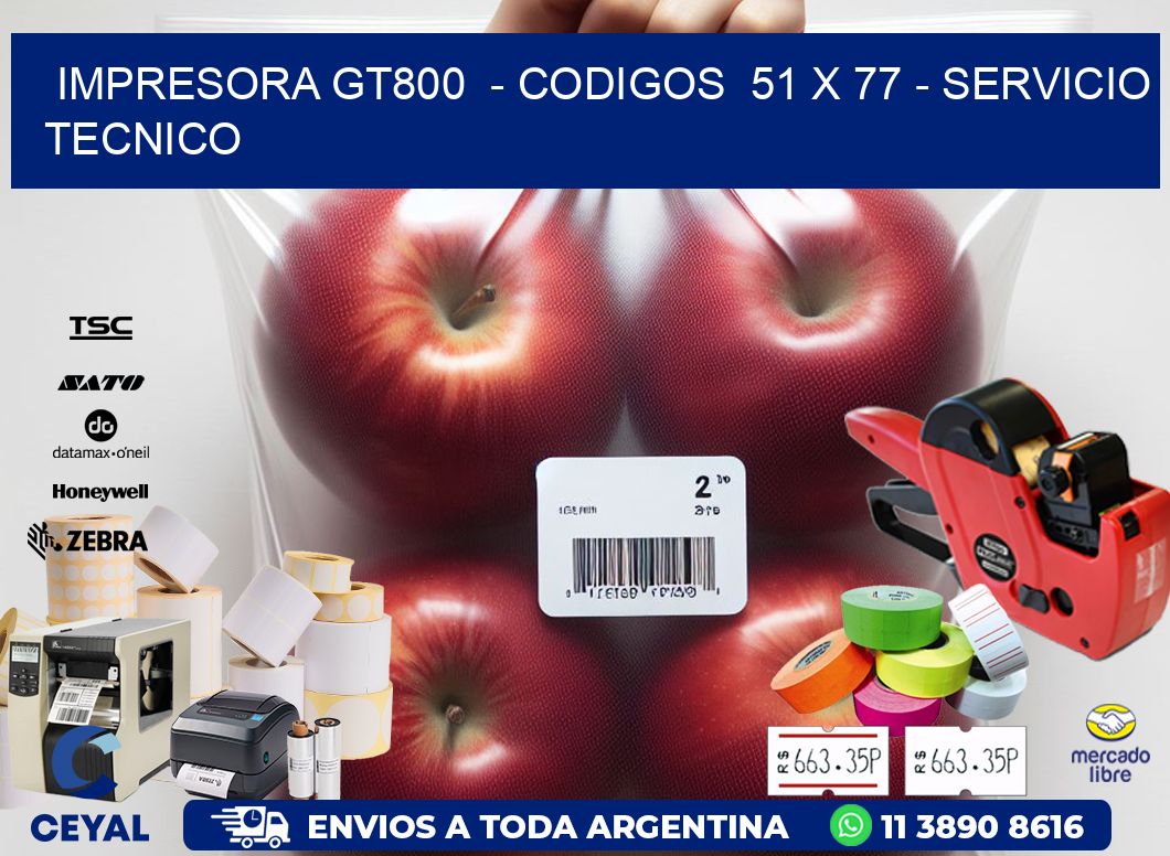 IMPRESORA GT800  - CODIGOS  51 x 77 - SERVICIO TECNICO