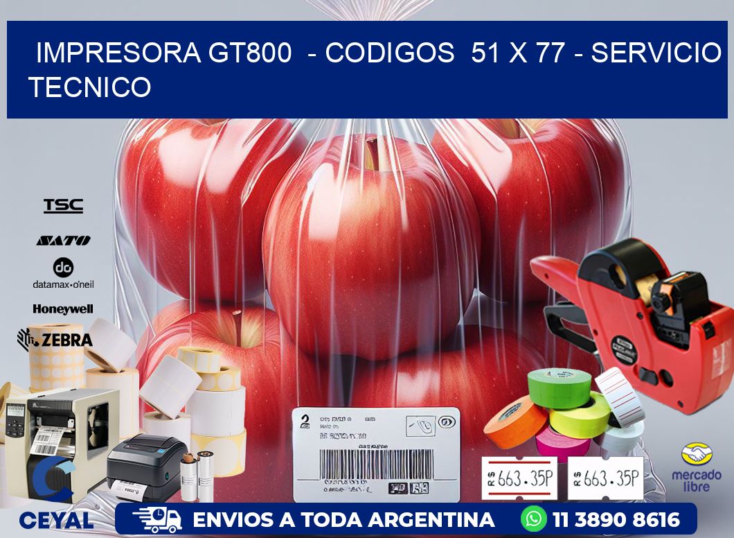 IMPRESORA GT800  - CODIGOS  51 x 77 - SERVICIO TECNICO