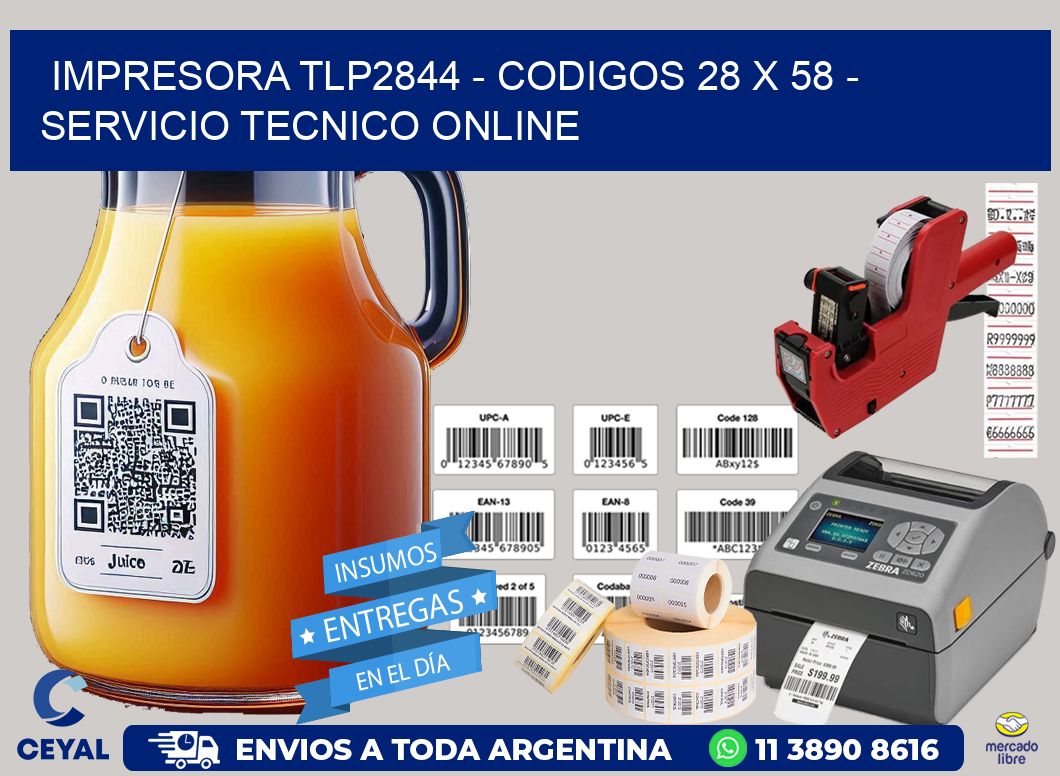 IMPRESORA TLP2844 - CODIGOS 28 x 58 - SERVICIO TECNICO ONLINE