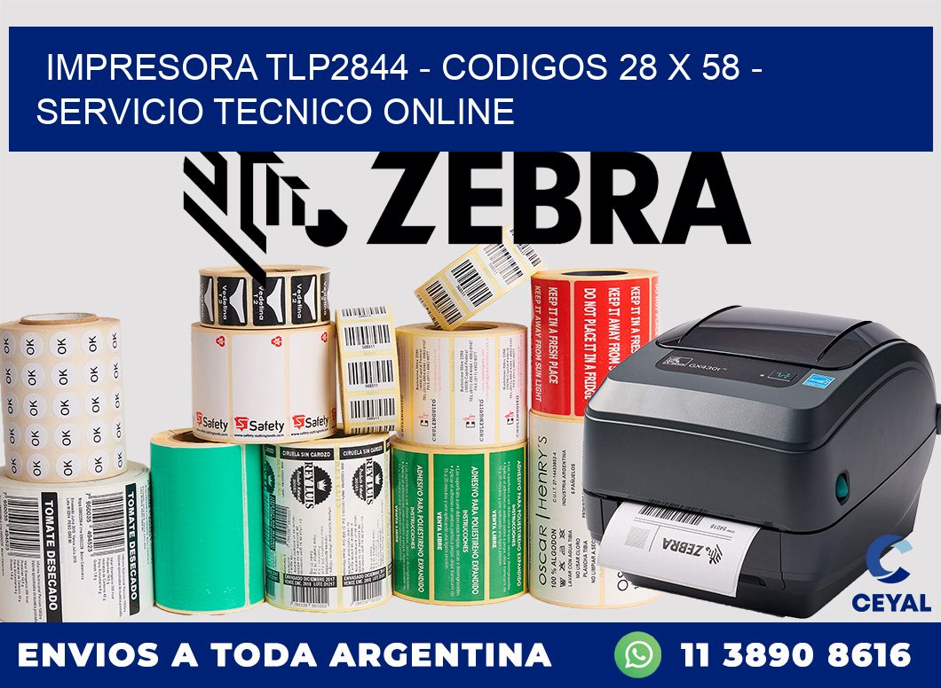 IMPRESORA TLP2844 - CODIGOS 28 x 58 - SERVICIO TECNICO ONLINE