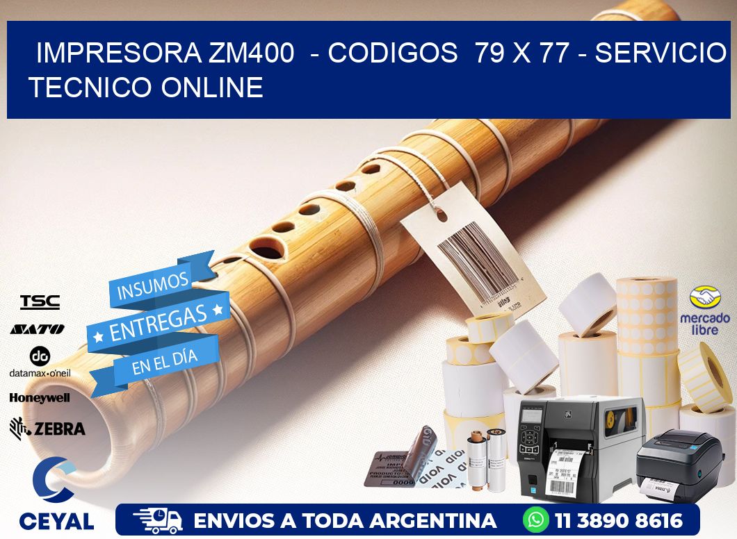 IMPRESORA ZM400  - CODIGOS  79 x 77 - SERVICIO TECNICO ONLINE