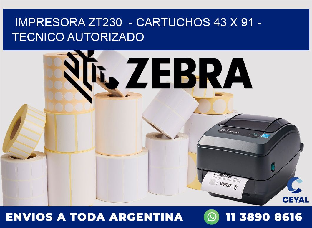 IMPRESORA ZT230  - CARTUCHOS 43 x 91 - TECNICO AUTORIZADO